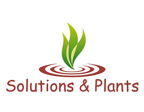 Solutions and Plants