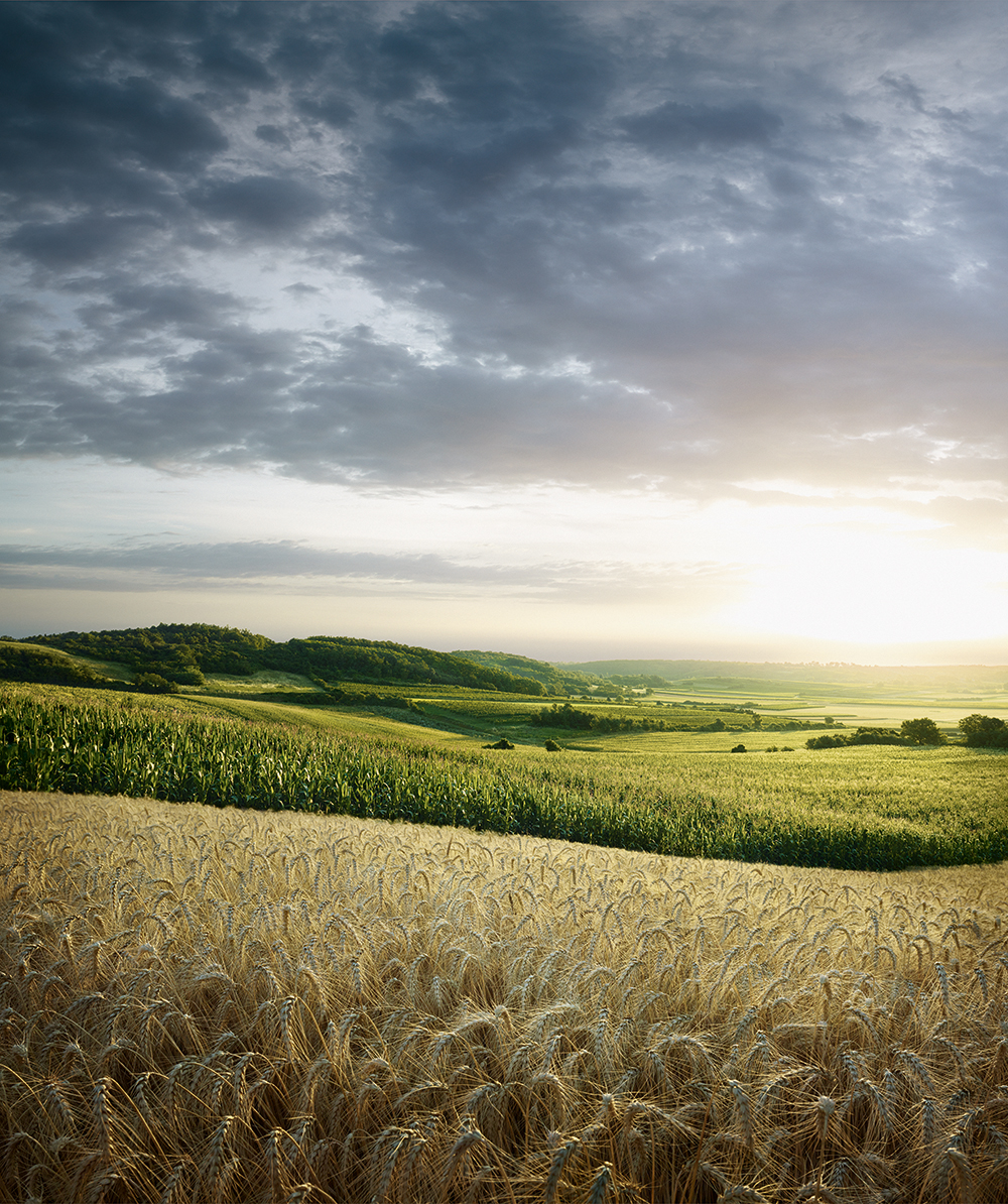 A selection of image photos