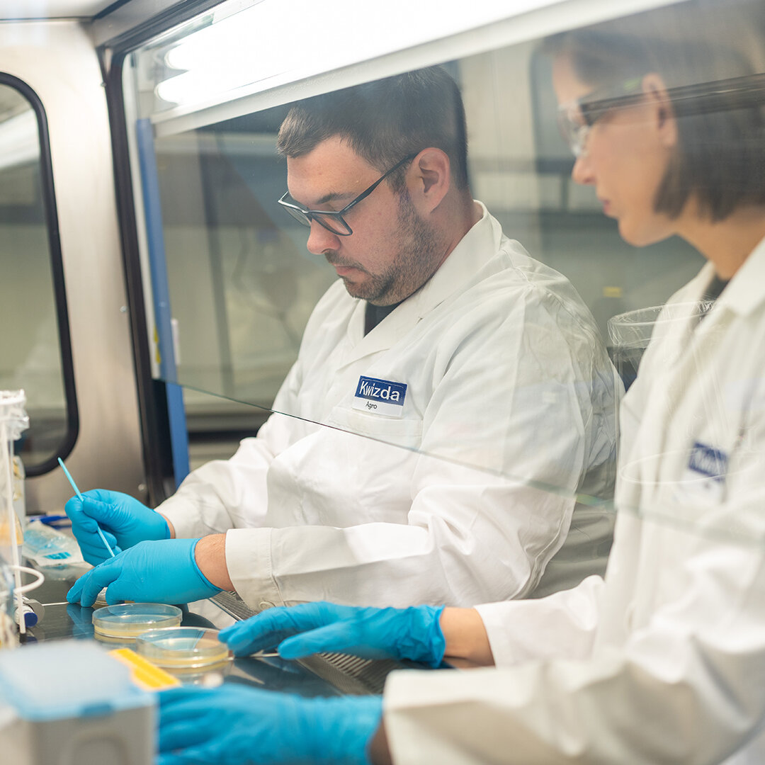 Kwizda Agro advances commercialisation of fungal-based biostimulants ...